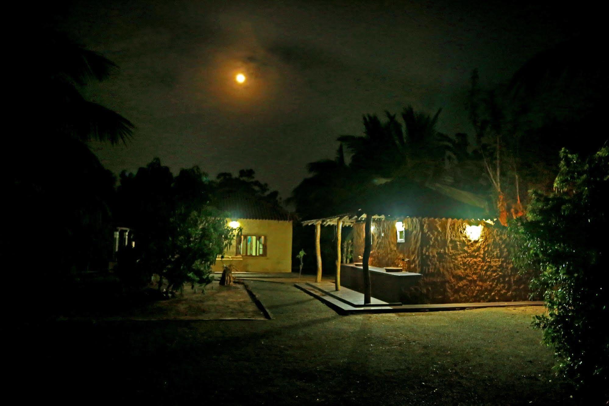 Heina Nature Resort - Eco Home And Yala Safari Kataragama Exteriér fotografie